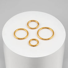 Titanium Hinged Hoop Piercing Ring