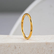 Titanium Hinged Hoop Piercing Ring