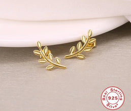 925 Silver Exquisite Leaf Stud Earrings