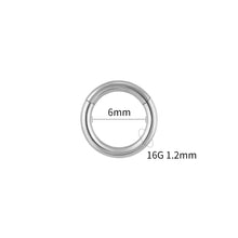 Titanium Hinged Hoop Piercing Ring