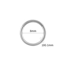 Titanium Hinged Hoop Piercing Ring