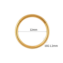 Titanium Hinged Hoop Piercing Ring