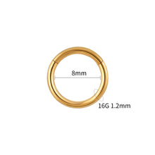 Titanium Hinged Hoop Piercing Ring